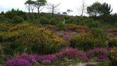 Fundraising efforts save heathland site from sale