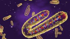 Virus ya Marburg yabonetse bwa mbere mu Budage mu 1967