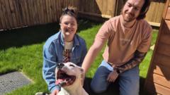 Sasha the Staffy rehomed after 683 days in kennels