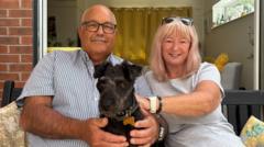 Adder bite leaves couple fearing for dog's life