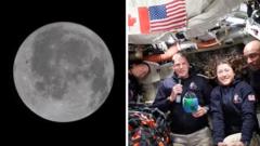 'Something we have never seen before': Artemis II crew describe far side of Moon