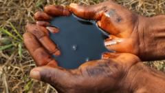 Oil clean-up ‘scam’ warnings ignored by Shell, whistle-blower tells BBC