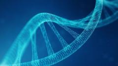 Controversial project to create artificial human DNA begins