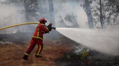 Firefighters battle wildfire as tens of thousands evacuated near Bordeaux