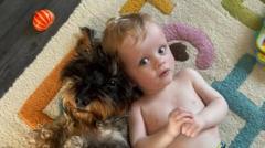 Boy killed by mum was under watch of social workers