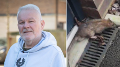 'Too scared to open my front door' - householders' fears as rat infestation reports rise