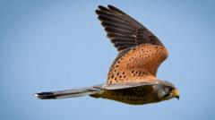 Your photos of wildlife from a scorching week