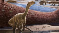 An artistic reconstruction of the Mbiresaurus raathi
