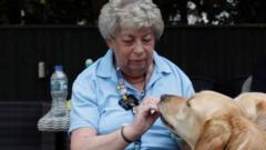 Volunteer knits hundreds of blankets for guide dogs