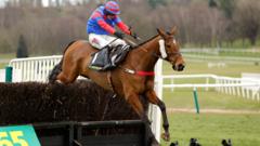 Mr Vango holds on to win Midlands Grand National