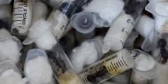 „Biološki šverc”: Pokušaj krijumčarenja retkih vrsta mrava