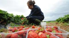 UK farmers must grow more fruit and veg, warns PM