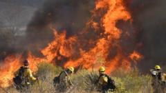 Wildfire in California