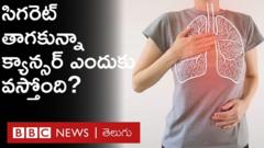 పొగ తాగని వారికీ ఊపిరితిత్తుల క్యానర్స్ వస్తోంది ఎందుకు?