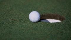 Golfer admits 'stupidity' after faking hole-in-one
