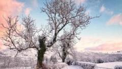 Y Swyddfa Dywydd yn cyhoeddi mwy o rybuddion melyn am eira a rhew