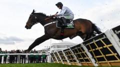 Is Constitution Hill Ready to Make Waves on the Flat?