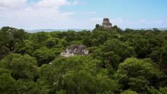 Could a Skeleton Found in the Guatemalan Jungle Belong to a Missing US Birdwatcher?
