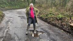Call for volunteers to help fix potholes