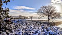 Cannoedd o ysgolion ar gau a rhybudd bod mwy o eira i ddod