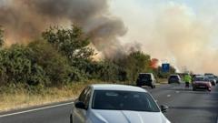 New Forest firefighting to continue overnight as cars abandoned