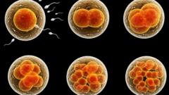 Embryos and sperm