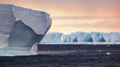 Scientists probe the secrets of mega icebergs