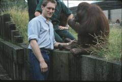 London Zoo worker on his love of gorillas and coatis