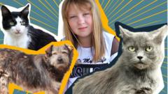Как Полина Кирильчук из Луганской области спасает кошек