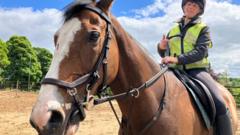 Fergie's former racehorse enjoying a retirement with beaches and beer