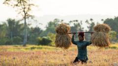perubahan-iklim-disebut-tingkatkan-arsenik-dalam-beras-apa-risikonya