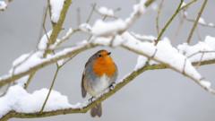 UK snow: Five things you might not know