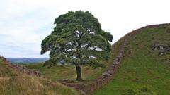 'Tree of Hope will remind us of reasons to live'