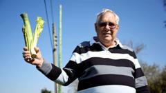 Residents bemused over 'celery stick' telegraph poles