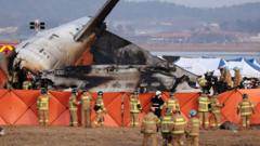 South Korea plane crash: experts raise questions about wall near runway