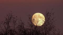 November full Moon is last chance to see supermoon in 2024