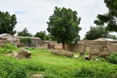 Plusieurs femmes et enfants se noient en fuyant une attaque de Boko Haram au Cameroun