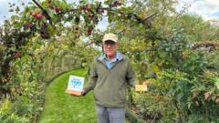 Top of the plots: The 'unique' London allotment