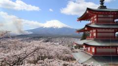 Will Badly Behaved Tourists Cancel Japan's Cherry Blossom Festival?