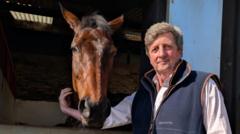 Golden Ace chasing more Cheltenham glory for Scott