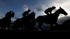 Racehorses to be tested for gene doping