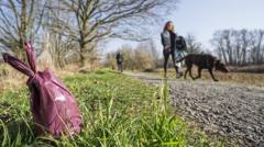 Fines warning over 'disgusting' dog fouling