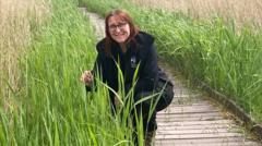 Nature reserve warns visitors not to build dens