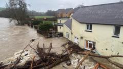 Travel disruption and flooding as heavy rain hits Wales 