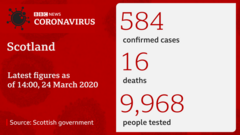 latest case numbers