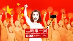 自干五