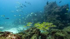 Key oceans treaty crosses threshold to come into force