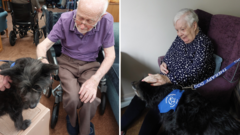 Rescued dog brings smiles to care home residents