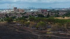 Wildfire warning issued over disposable barbecues