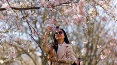 Warm settled weather set to continue into the weekend